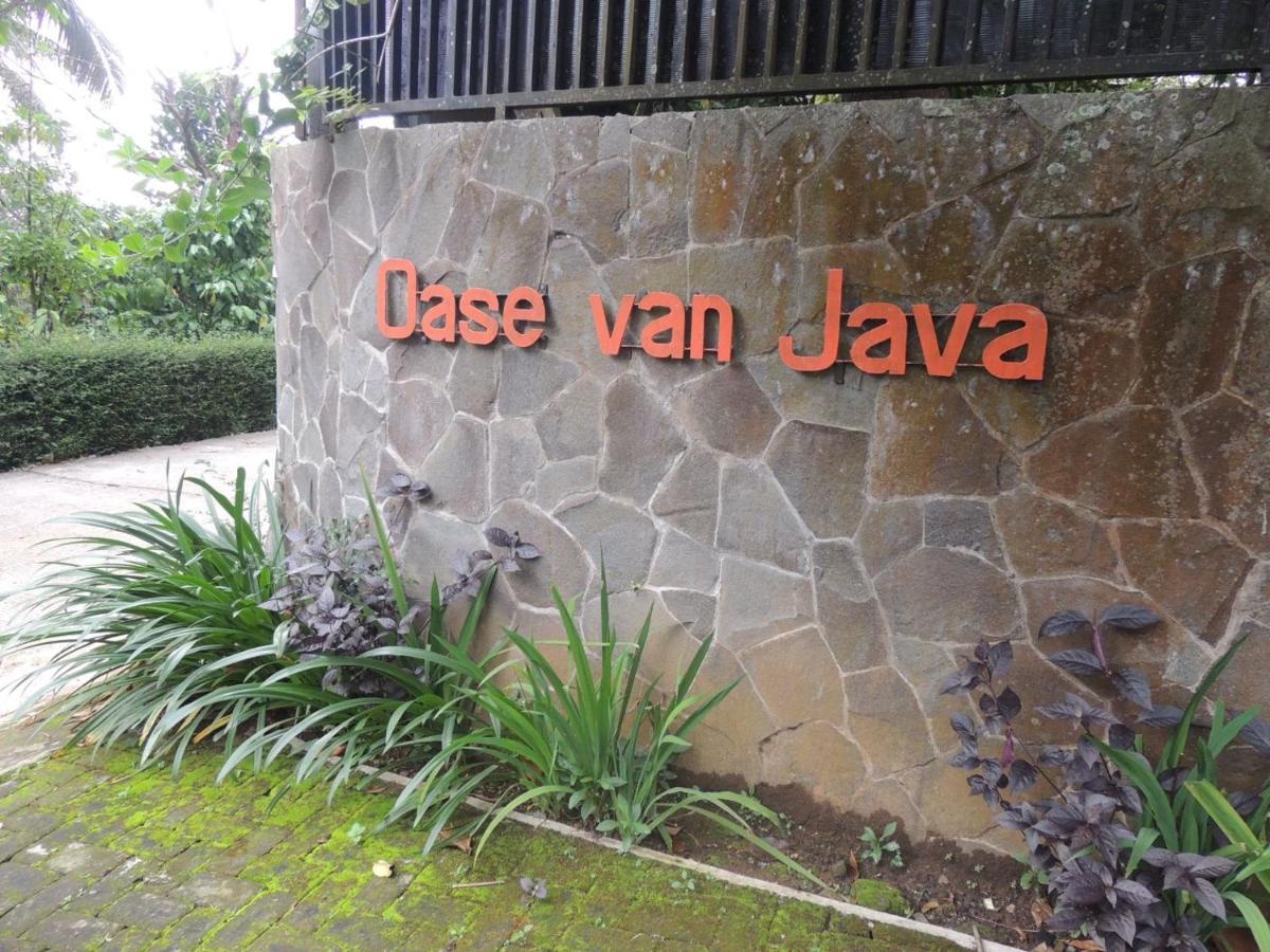 Oase Van Java Salatiga Luaran gambar